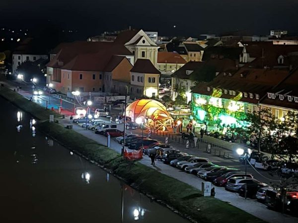 Festival Stare trte 4