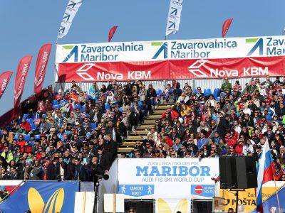 Zlata lisica 2015 3 Zlata lisica 2015 3